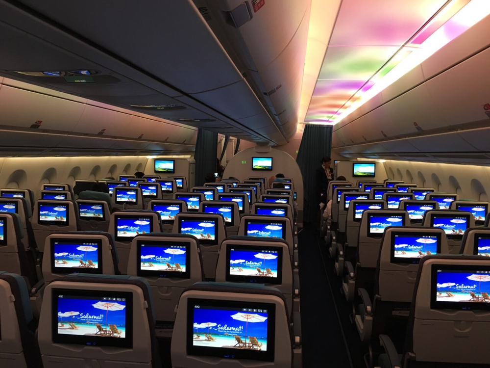 an airplane with rows of monitors
