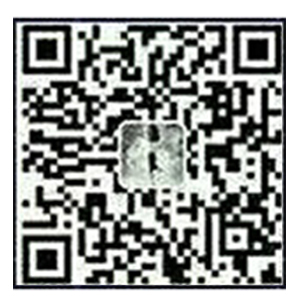雷鳴網(wǎng)絡(luò).png