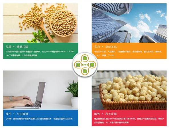 魯發信德