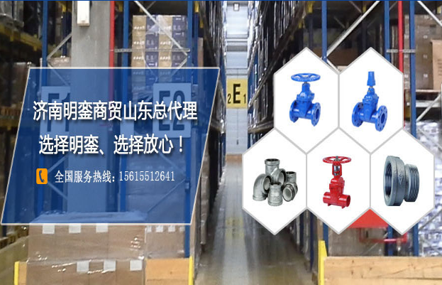 邁克管件 明鑾商貿(mào)